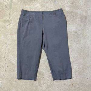 Lane Bryant Capri Pants Women’s Plus Size 16 Gray Zip Fly Back Pockets